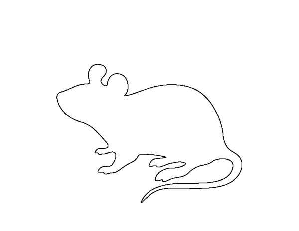species-mouse US Biologic OrisBio oral delivery platform targeting diseases in mice