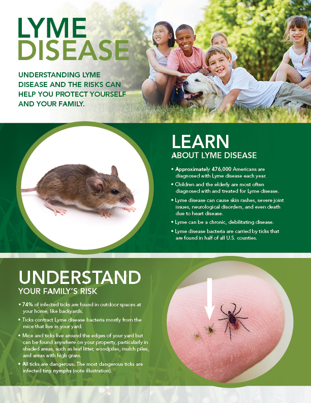Lyme Disease Flyer