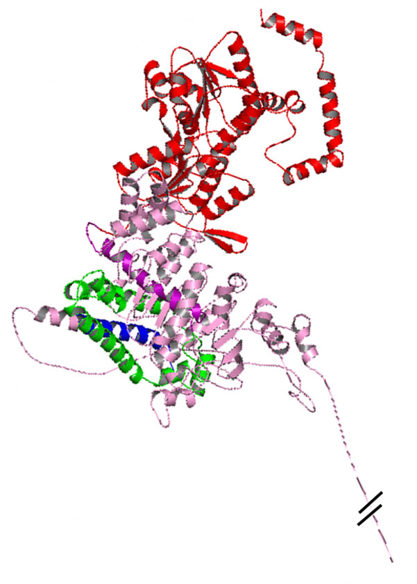 General-Example-Bacterial-Vehicle-and-Protein copy