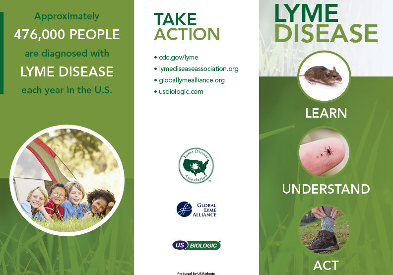 Lyme Disease Trifold